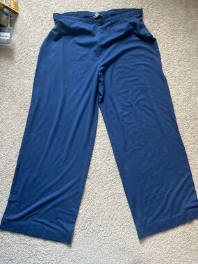JJill Wide Leg Blue Wearever Pants Lg